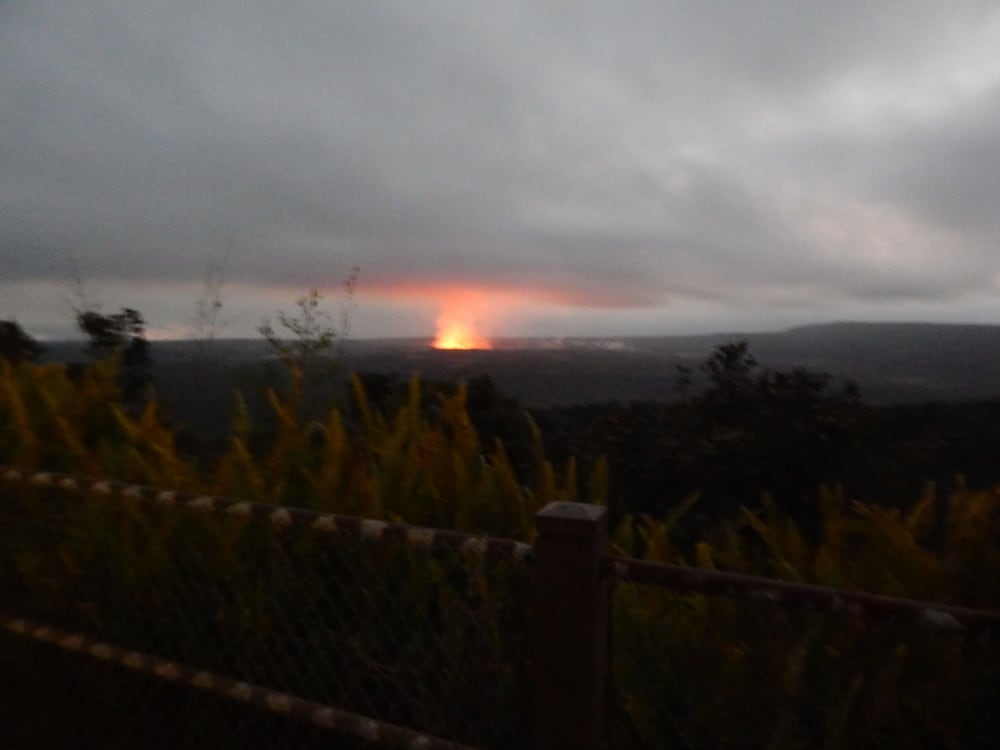 Fern Forest Getaway - photo 45