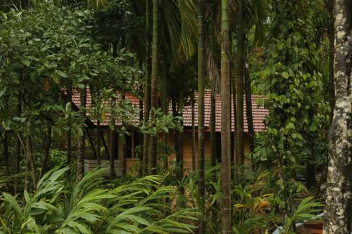 Aroha's Eco Hill Resort