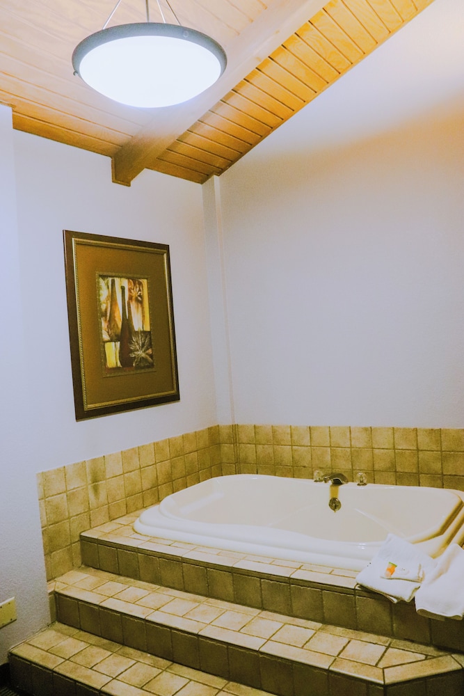 Apple Tree Inn and Suites - photo 9