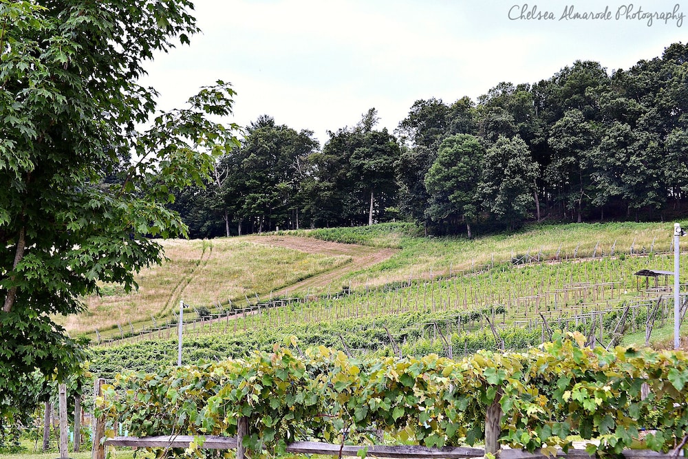 Beliveau Estate - photo 8