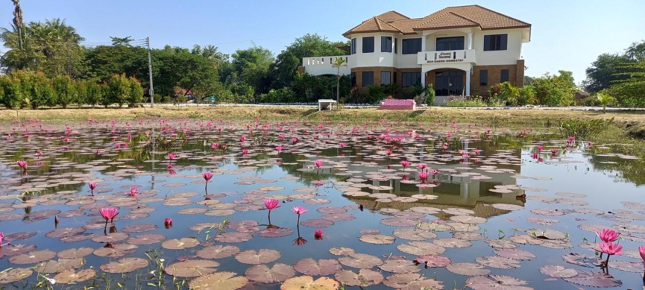 Bua Daeng Homestay Resort — Udon Thani
