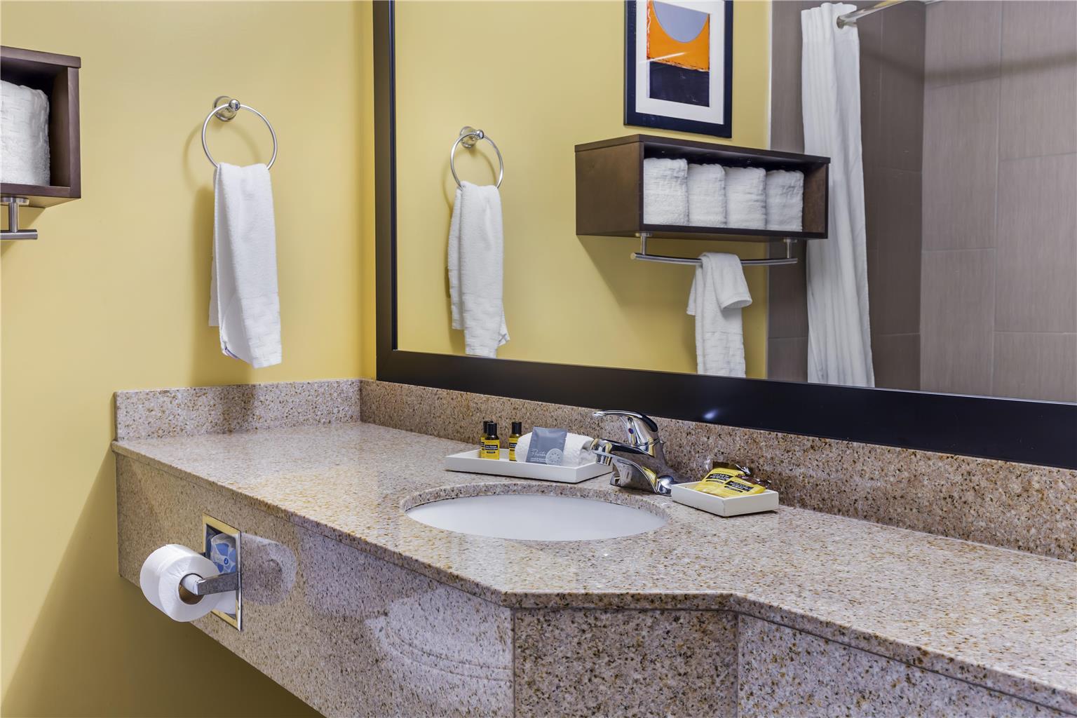 Best Western Plus Suites Greenville - photo 13