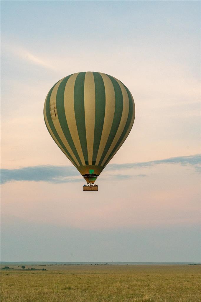 Experiences and Wildlife