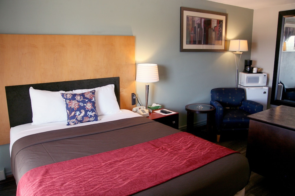 South T Motel - photo 32