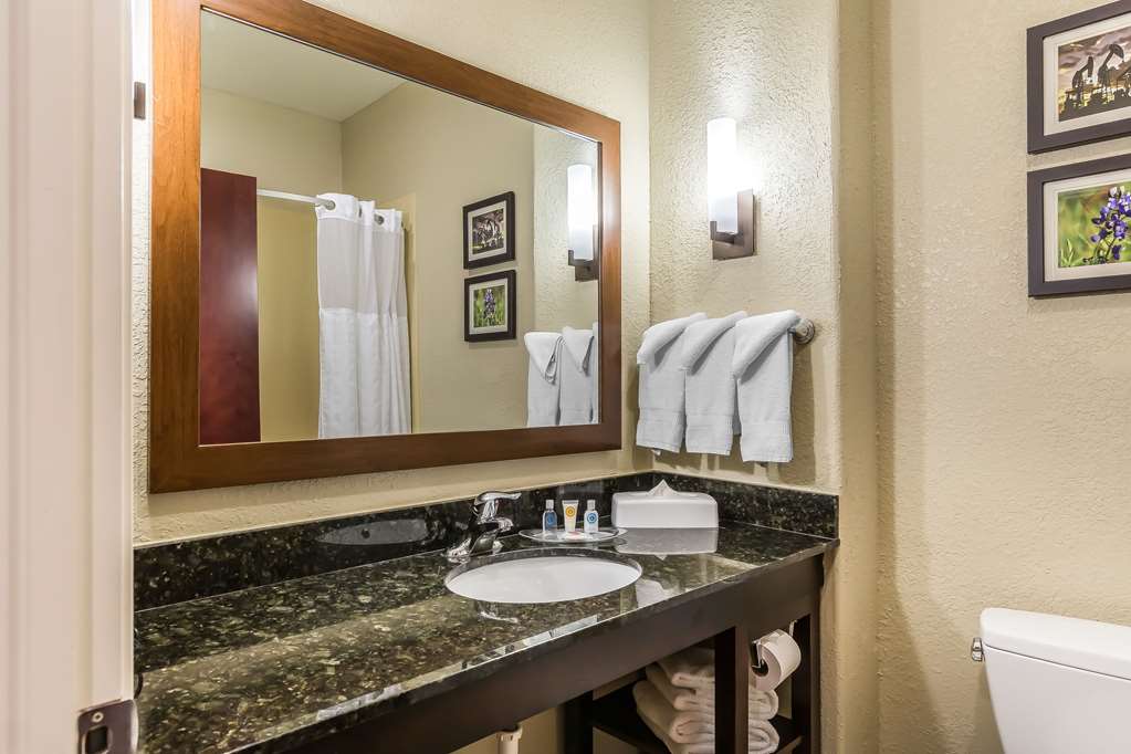 Comfort Suites Houston IAH Beltway 8 - photo 20