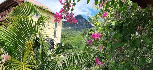 Kaye Mango — Soufriere — photo 4