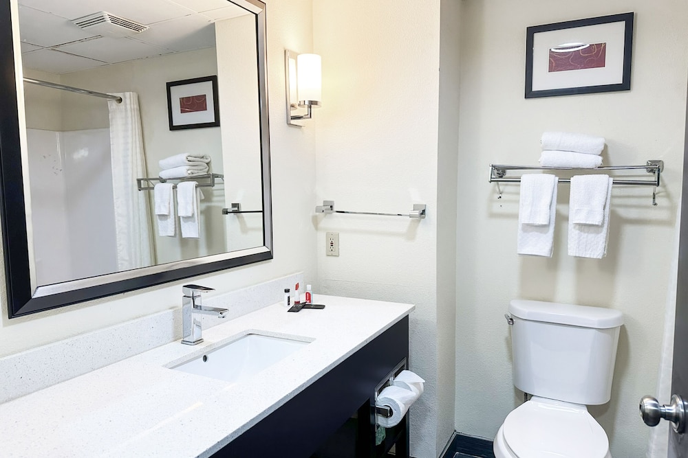 Oyo Hotel Rome West Ga - photo 41