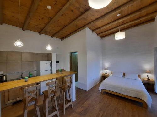 Finca Los Racimos Casa Syrah — 4-Star Luxury Hotel in San Rafael, Argentina