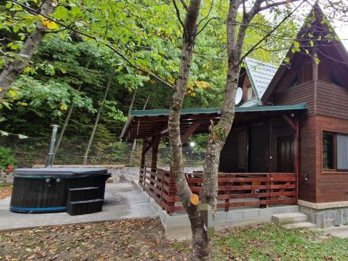 Cabana Anita in Sovata, Romania