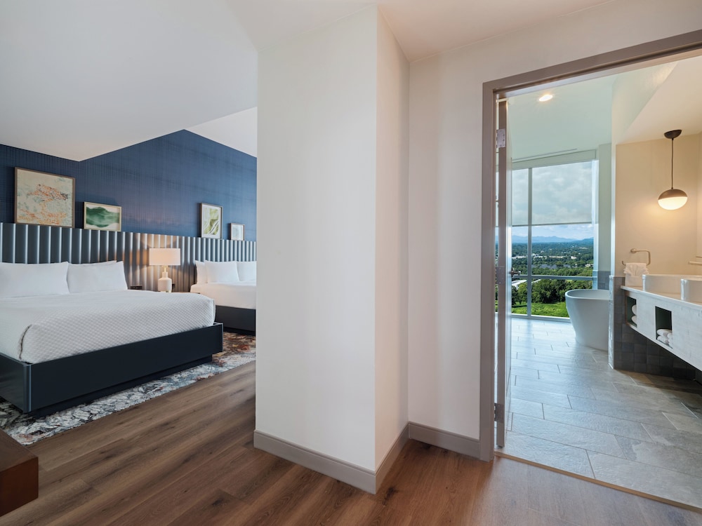 Hotel Indigo Asheville Downtown by IHG - photo 12