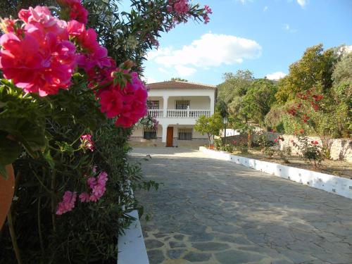 Casa El Molino — Montecorto — photo 4