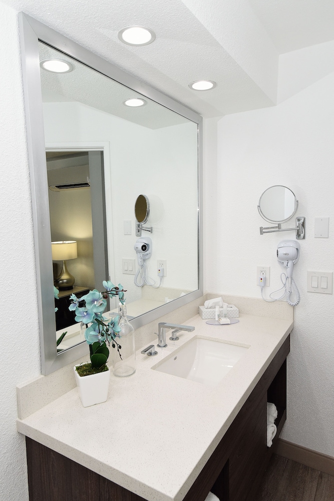 Serene Vegas Boutique Hotel Las Vegas - photo 17