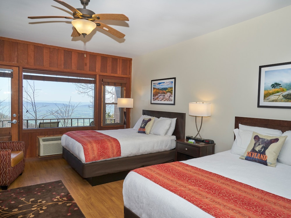 Skyland Resort - photo 7