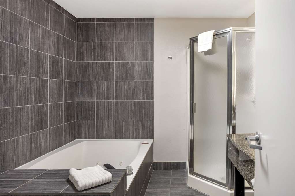 Comfort Suites Nashville Airport BNA - photo 17