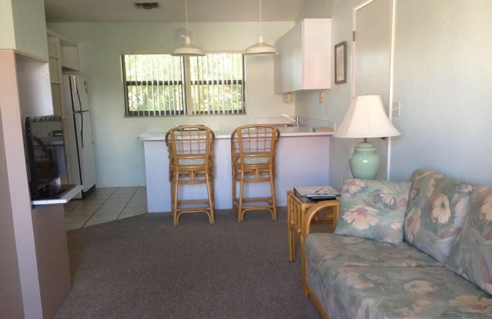 Palm Terrace - photo 28