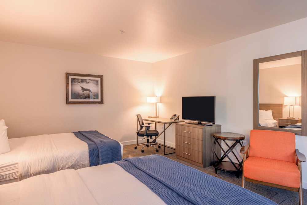 Inn At Moss Landing Point - photo 45