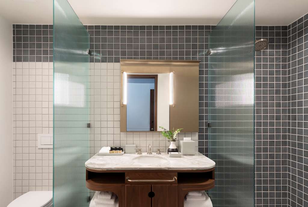 Thompson Washington D.C. by Hyatt - photo 62