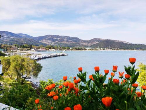 Sailor’s Delight in Kavala, Greece