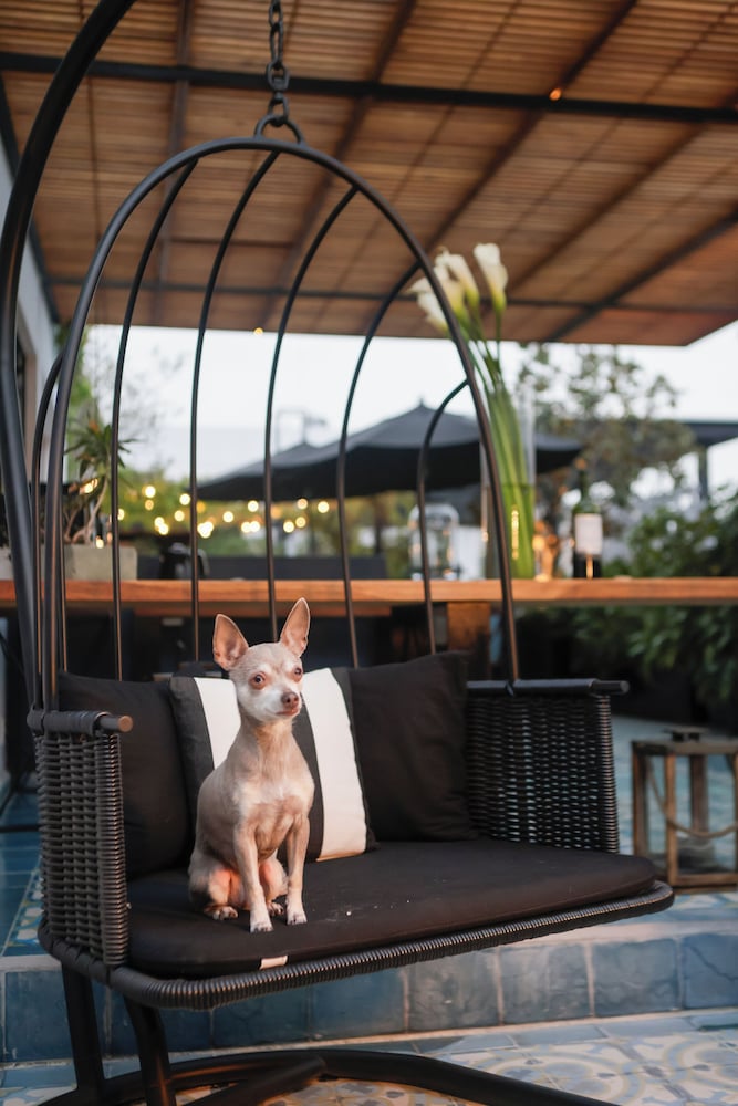 Pet-friendly
