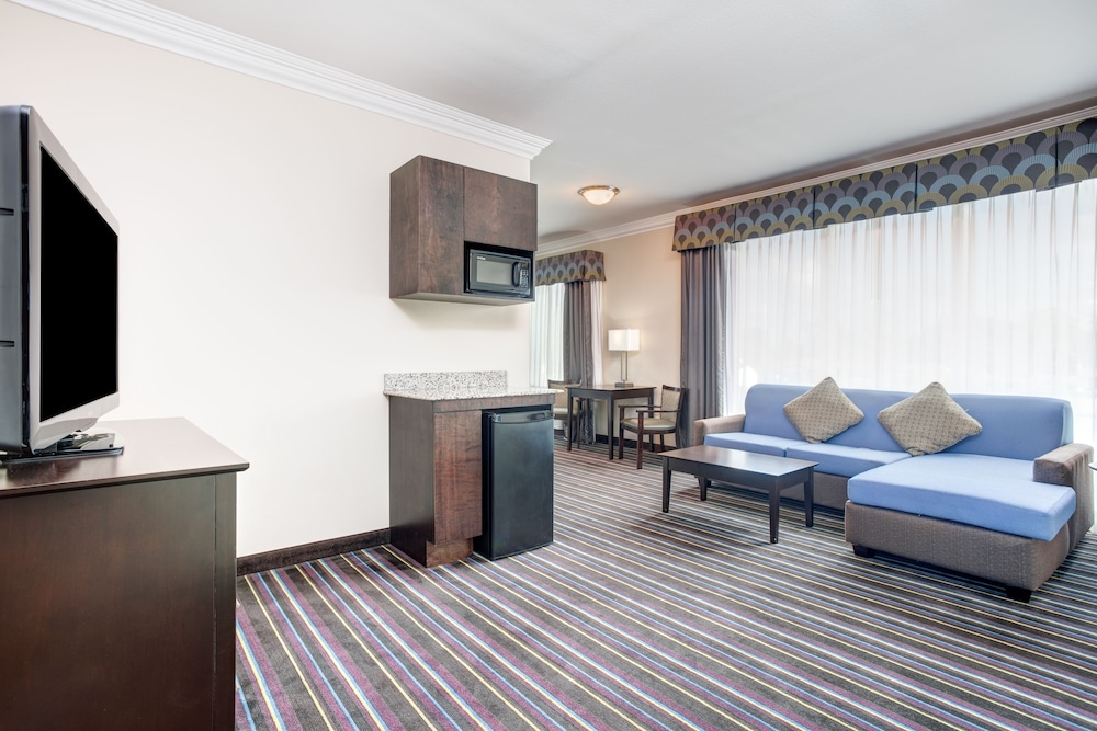 Holiday Inn Express Hotel & Suites Raceland Highway 90 by IHG - photo 7