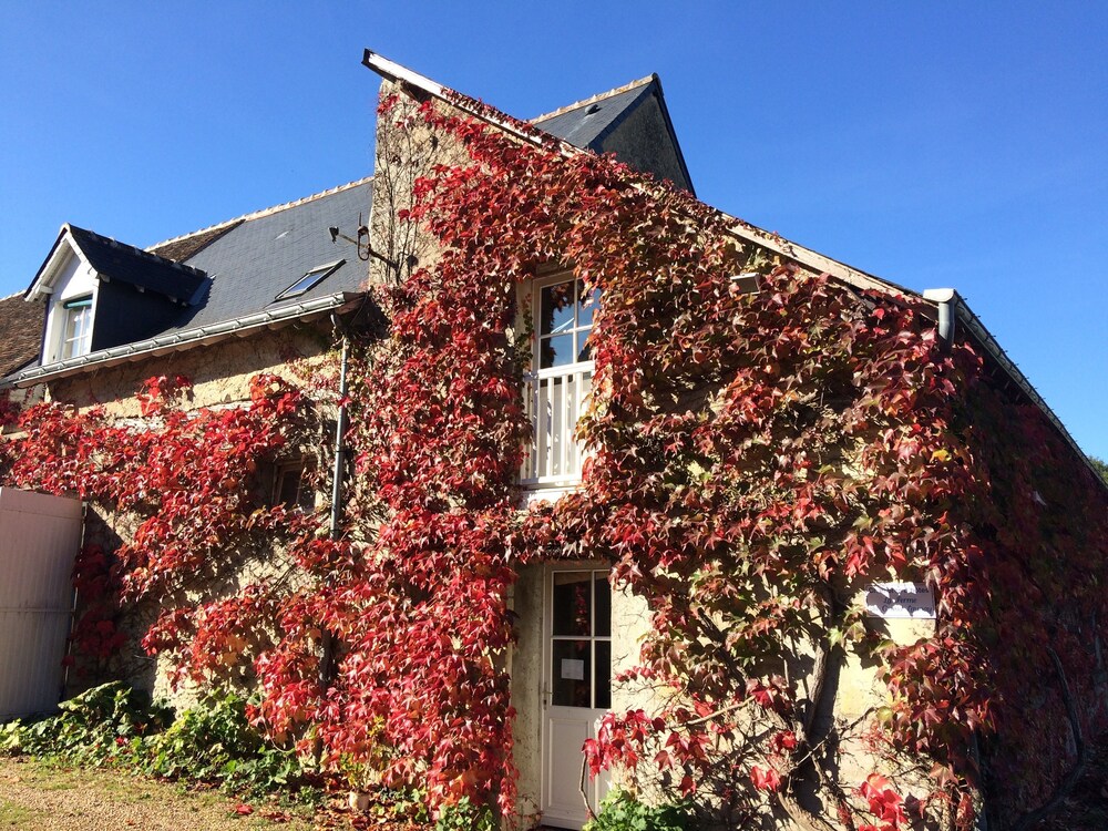 La Ferme du Grand Launay pet-friendly hotel Semblancay