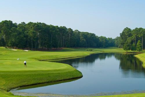 Barefoot Resort - photo 15