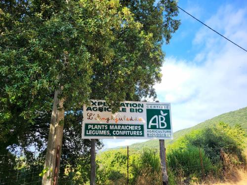 L Anghjuledda 2 — Grosseto Prugna