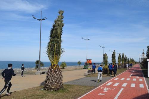 Orbi Sea Towers Batumi Resort