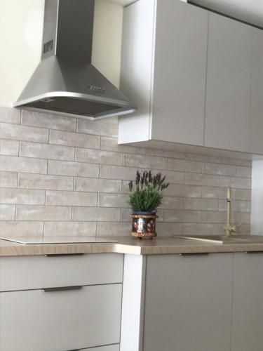 Pas Vilma in Palanga, Lithuania