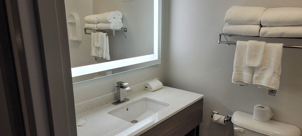 Clarion Inn & Suites and Convention Center - photo 28