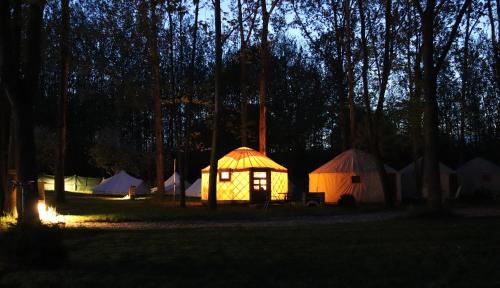 Öko Kemping és Glamping Tiszadada — hotel in Tiszadada