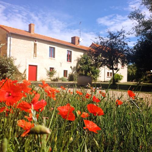 Au Repos Des Elfes - carbon neutral hotel in Unknown City