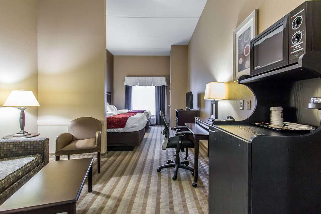 Comfort Suites Smyrna Nashville Area - photo 12