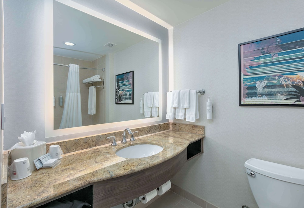 Hilton Garden Inn Dallas Arlington - photo 28