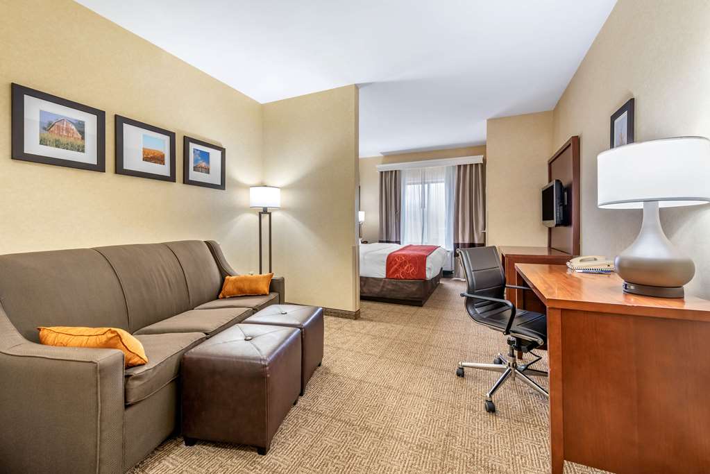 Comfort Suites Elkhart South - photo 14