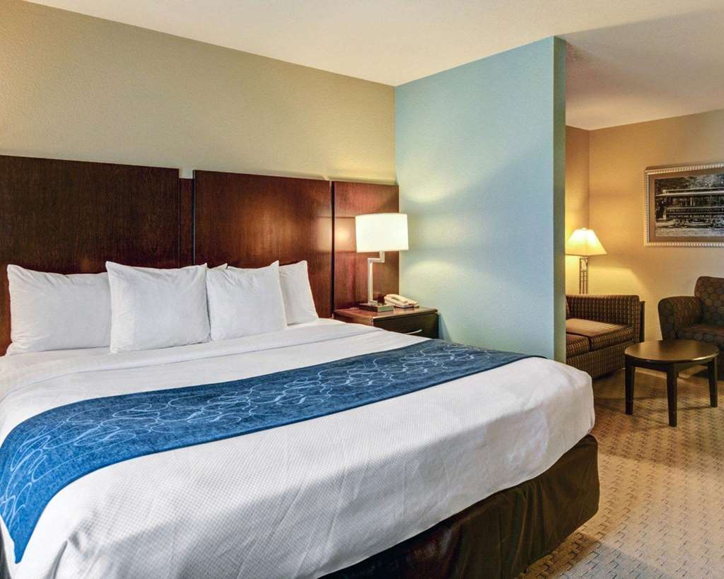 Comfort Suites near Hot Springs Park - photo 17