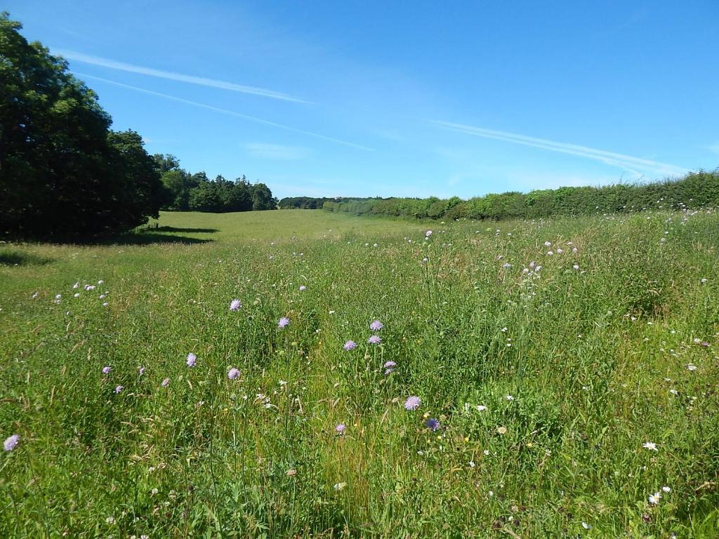 Tweed Hideaway in Kelso, United Kingdom