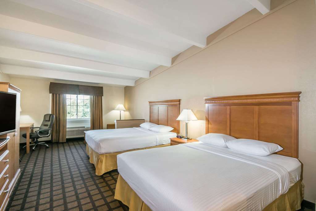 Super 8 by Wyndham Beaumont I 10 South College St - photo 13
