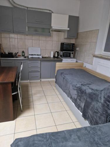 Sawago Mini Apartament Studio 23m2 Samodzielnie Zameldowanie 20391871 — Ciechanow