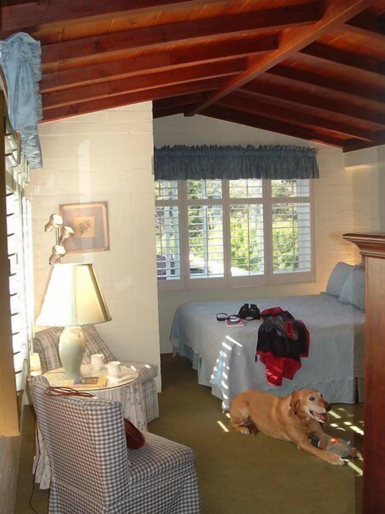 Hofsas House Hotel - photo 16