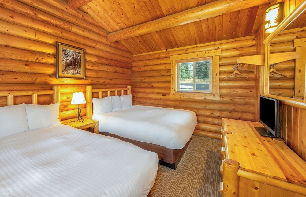 Togwotee Mountain Lodge - photo 7