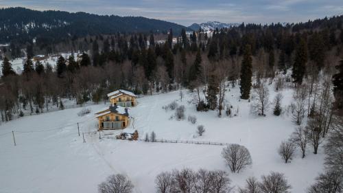Villa by Sunexpress Bakuriani