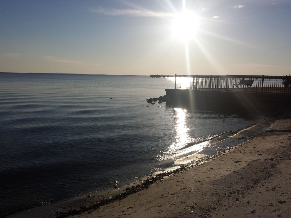 Tropical Bay Inn Motel - photo 18