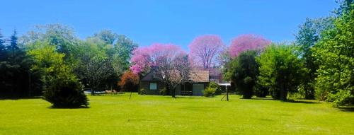 Casa Quinta Matilda Gon — Chascomus — photo 3
