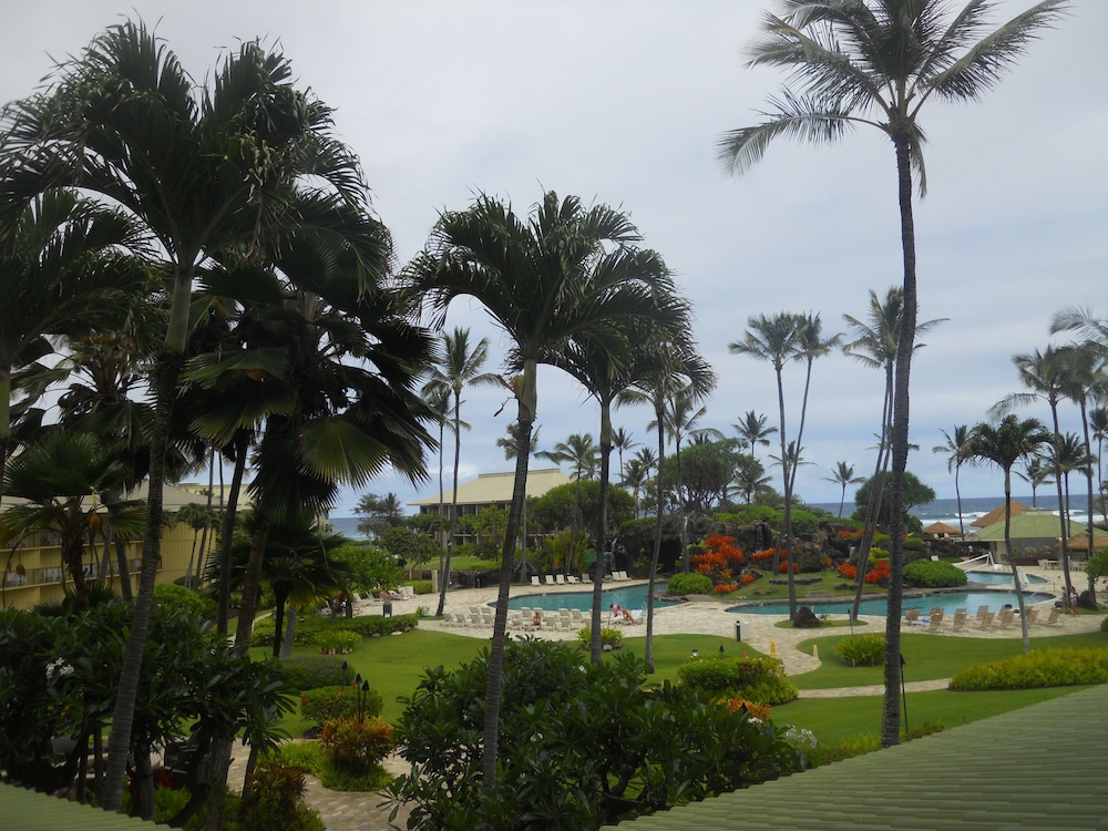 Gaia Luxury Oceanfront Resort Lihue - photo 42