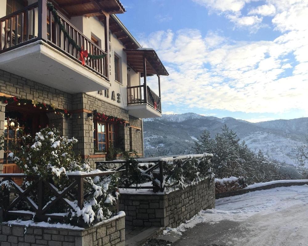 Hotel Anax — Metsovo — photo 2