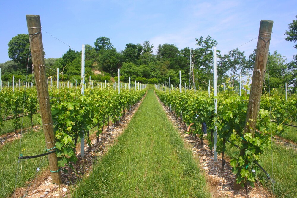 Agriturismo Corte Ambrosio — 4-Star Luxury Hotel in Pozzolengo, Italy