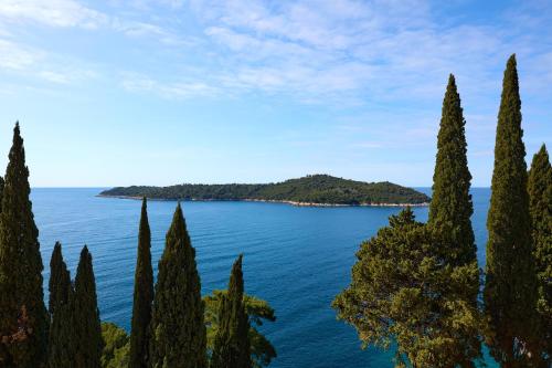 Studio apartman Ana