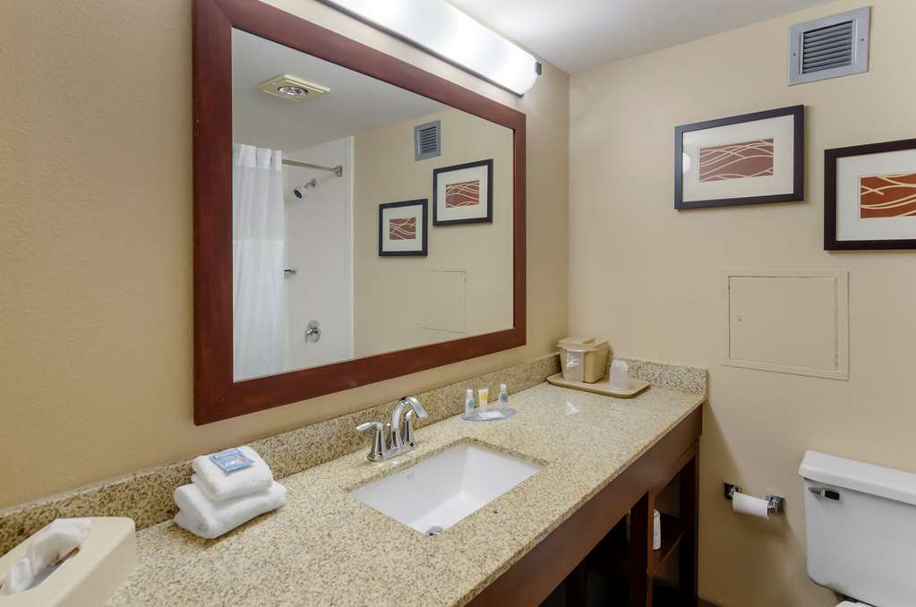 Comfort Inn Blacksburg University Area - photo 13