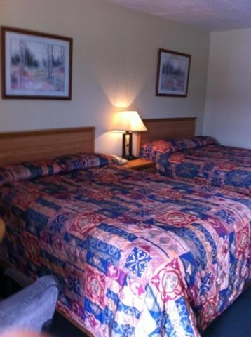 Gold Inn - photo 14